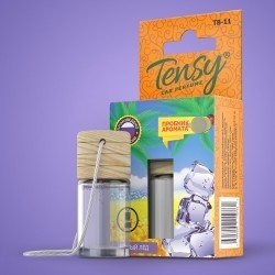 Tensy ТВ-11 Ароматизатор "Tensy" " ЧЁРНЫЙ ЛЁД" жидкая основа бутылочка автоароматы